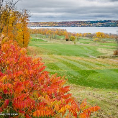 Bellmere Winds Golf Resort