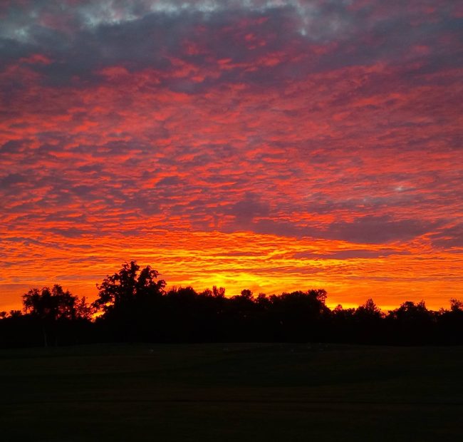 A breathtaking view of Bellmere Winds Golf Course overlooking Rice Lake.