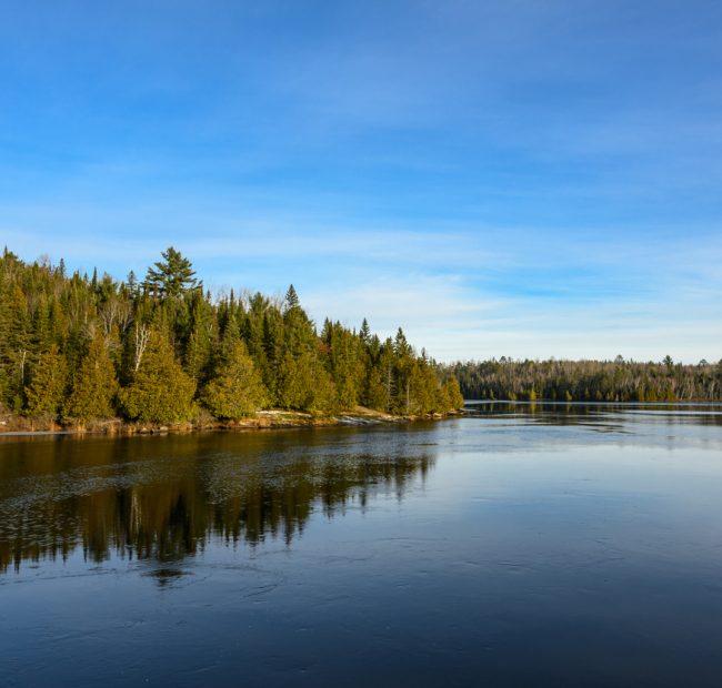 Algonquin Provincial Park 
