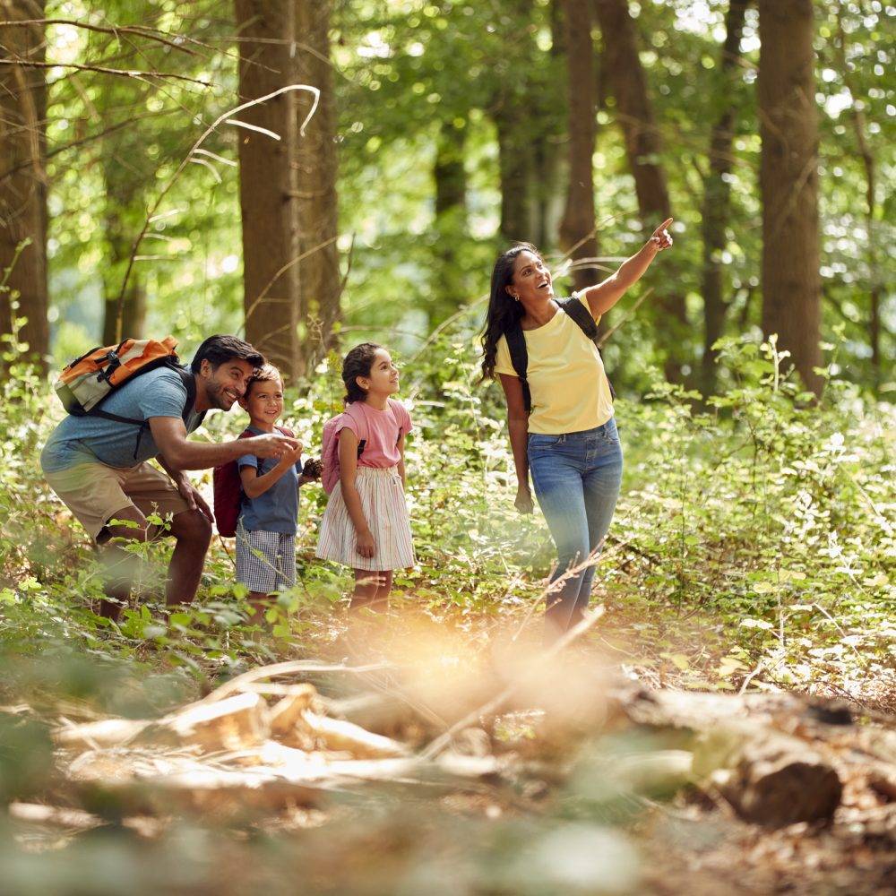 Great Blue Resorts | Family Friendly, all-inclusive resorts in Ontario's Top Cottage Country surrounded by Nature