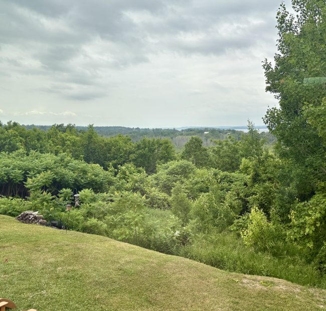View from Kitchen