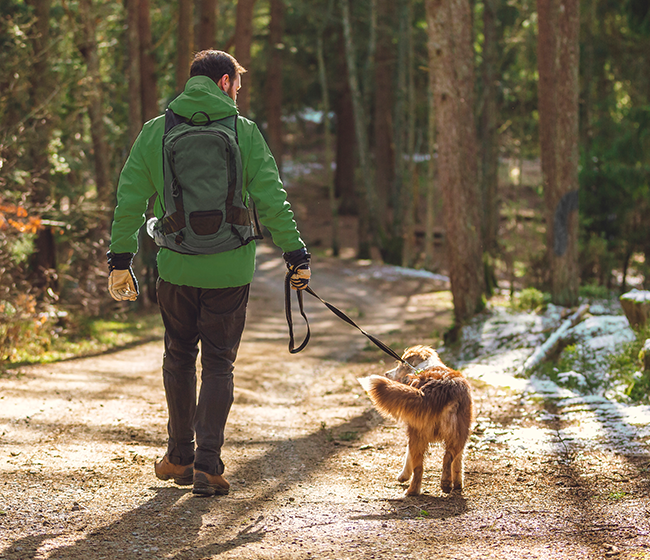 Short Term RV Sites & Seasonal Sites Features: Pet-friendly options available