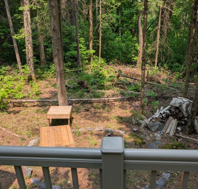 Deck view
