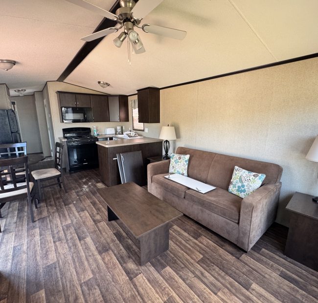 Living Kitchen Area