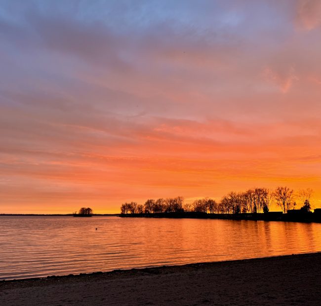 Sunset Cherry