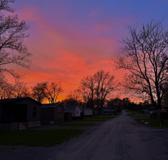 Sunset Cherry