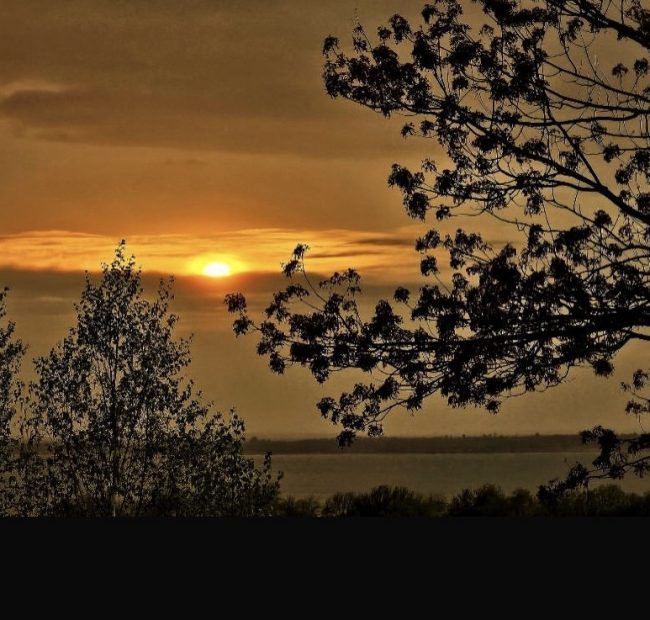 Sunset Golden