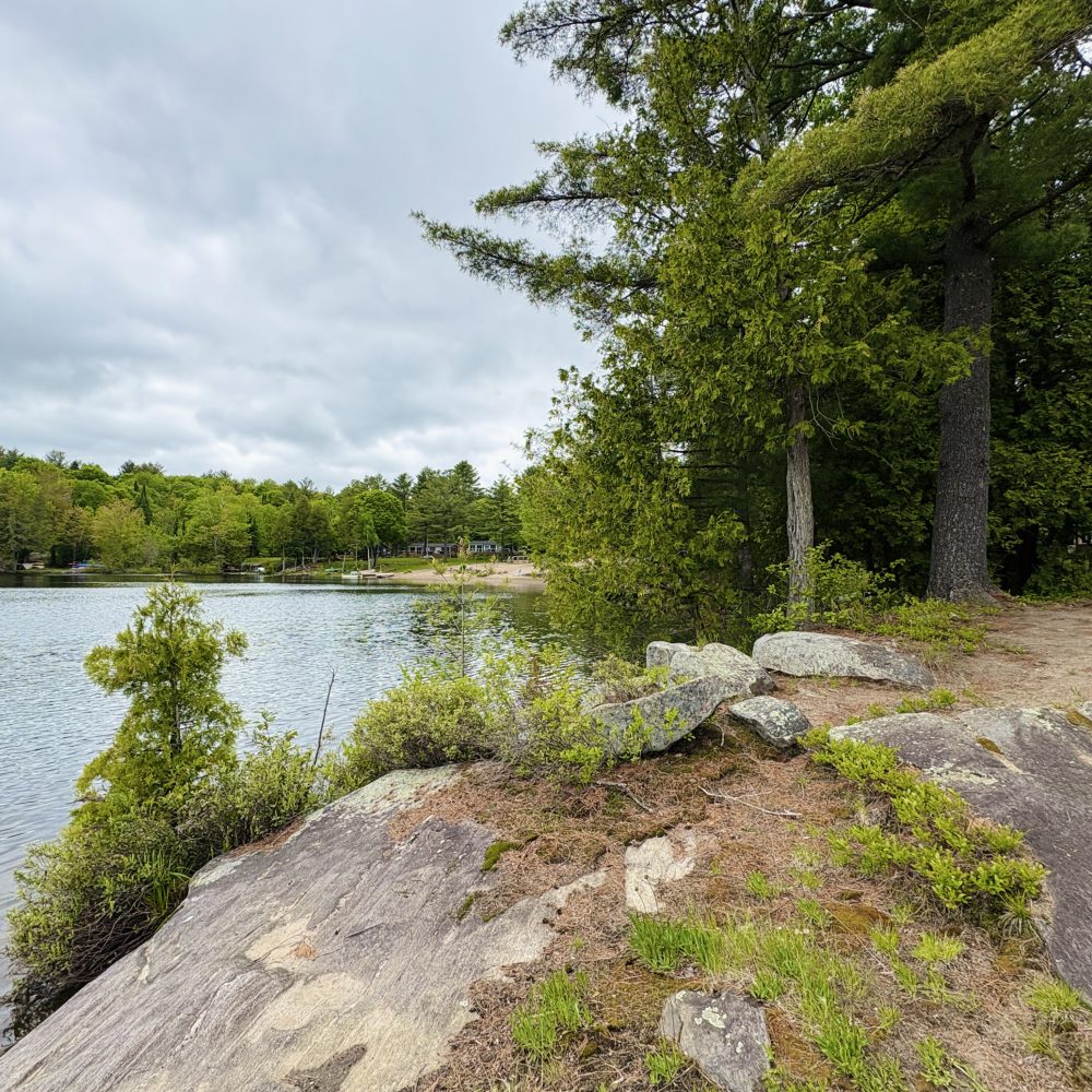 bonnie nature