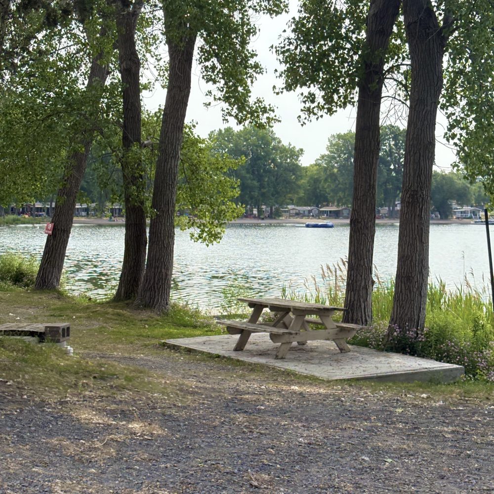 Cherry Picnic
