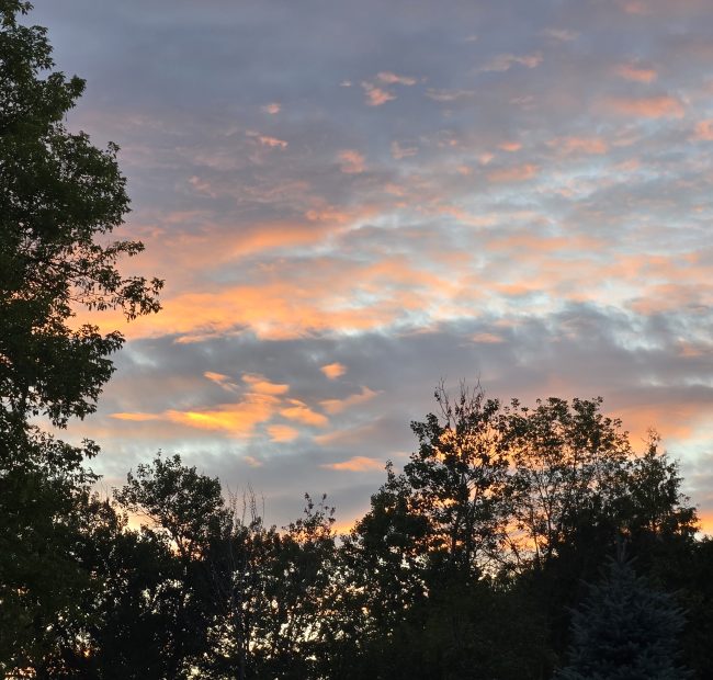 Sunset