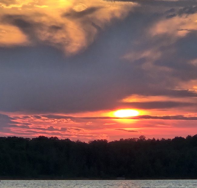 Sunset Woodland