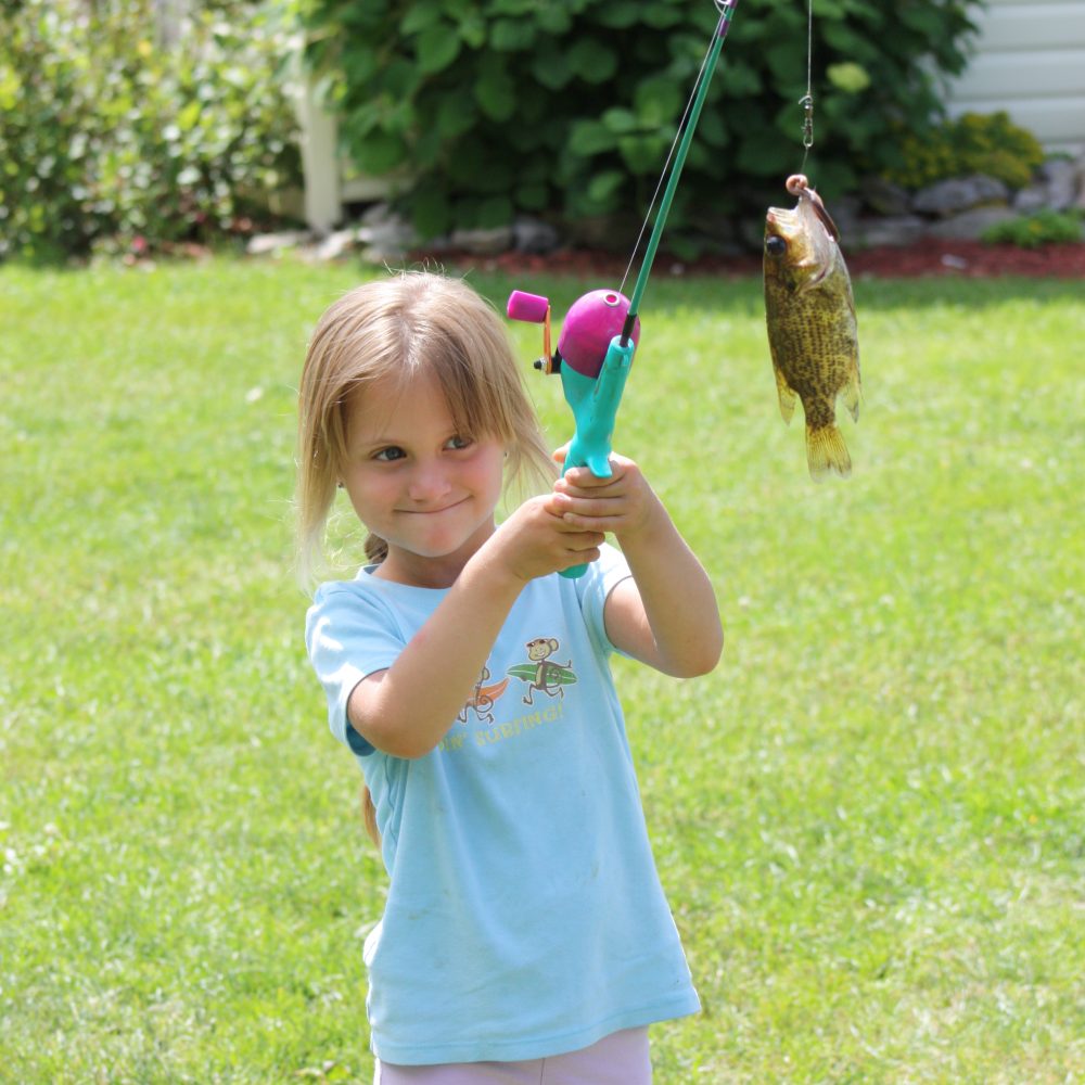 Fish