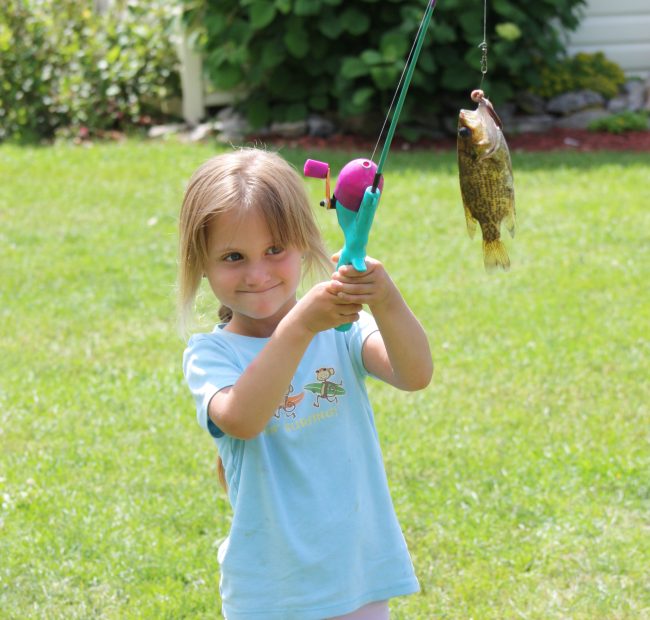 Fish