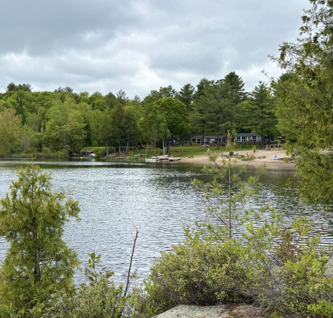 bonnie lake