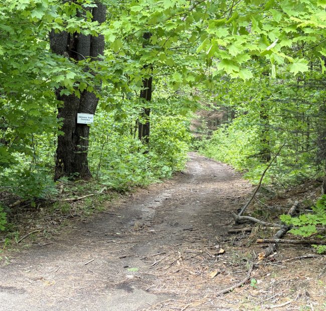 bonnie trail