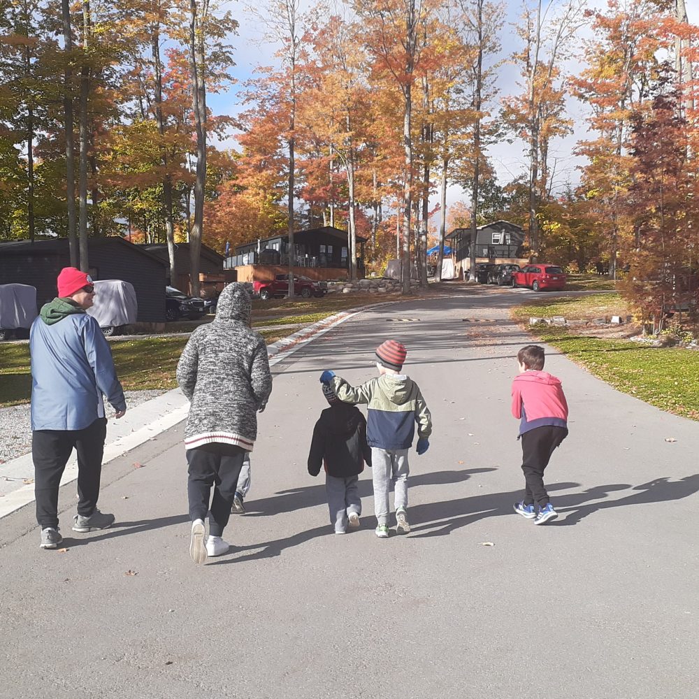 Bellmere Fall Views