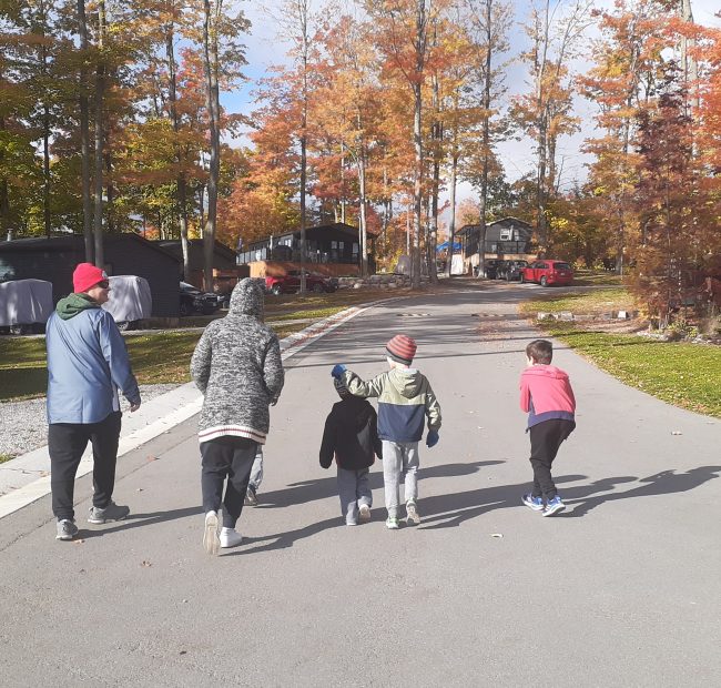 Bellmere Fall Views