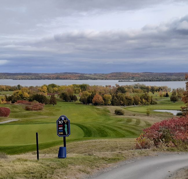 Bellmere Fall Views