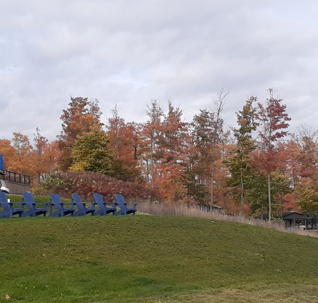 Bellmere Fall Views