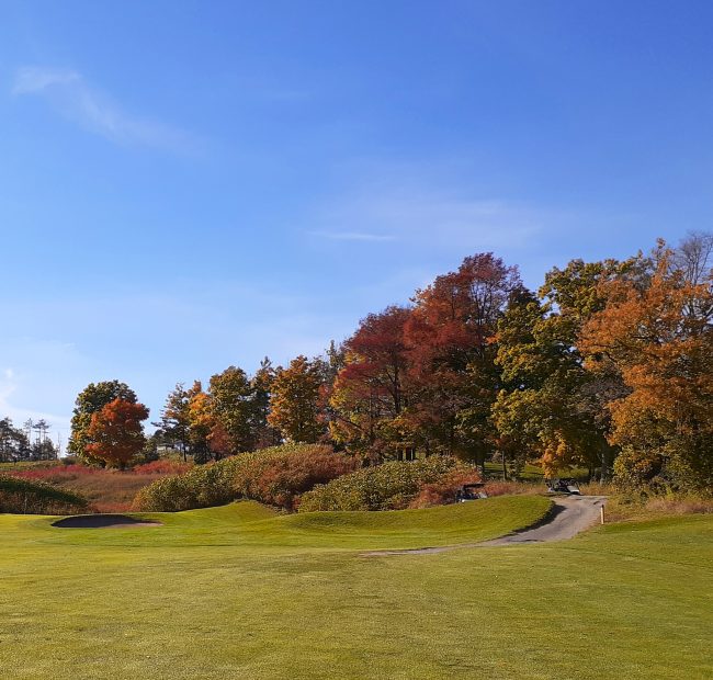 Bellmere Fall Views