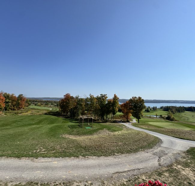 Bellmere Fall Views