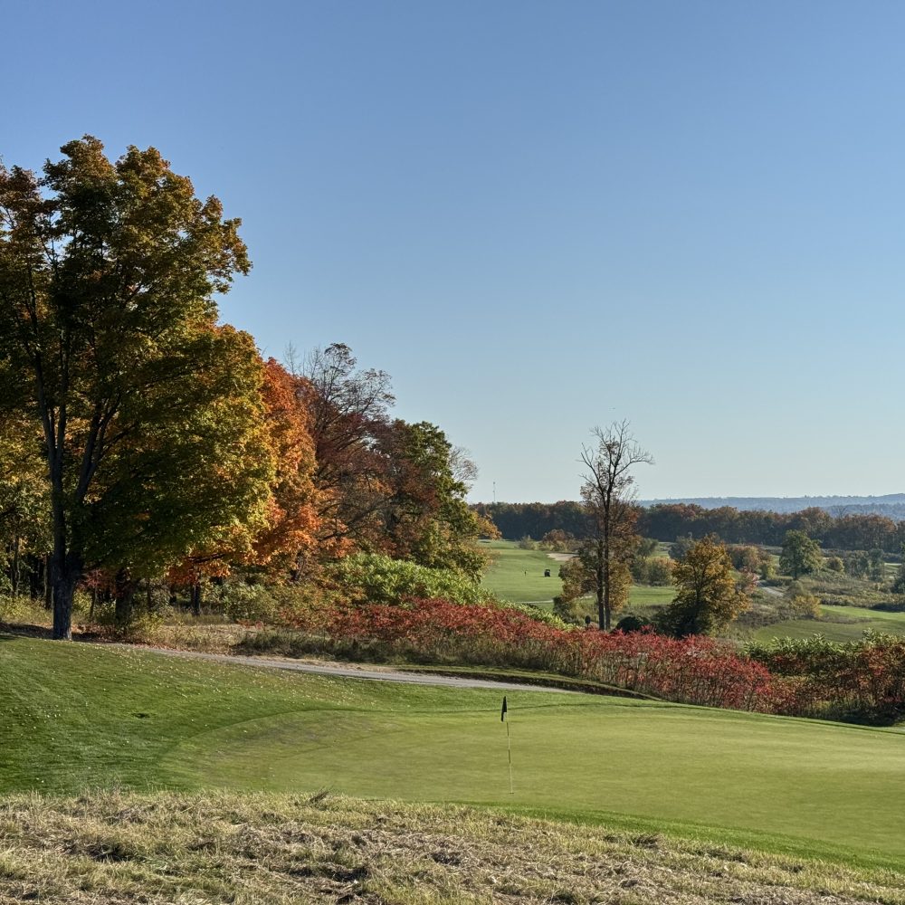 Bellmere Fall Views