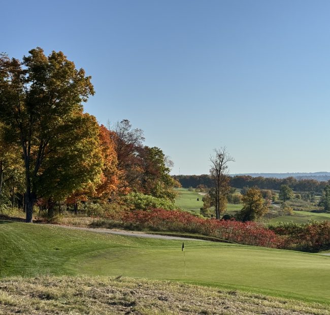 Bellmere Fall Views