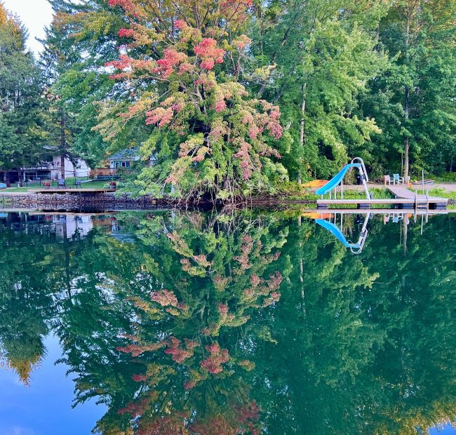 Shamrock Fall Views