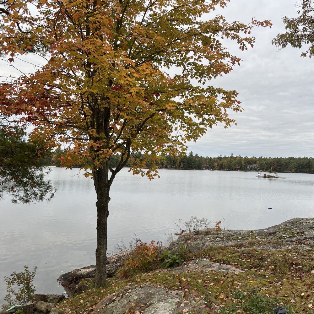 Lantern Fall Views