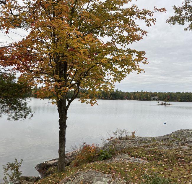 Lantern Fall Views