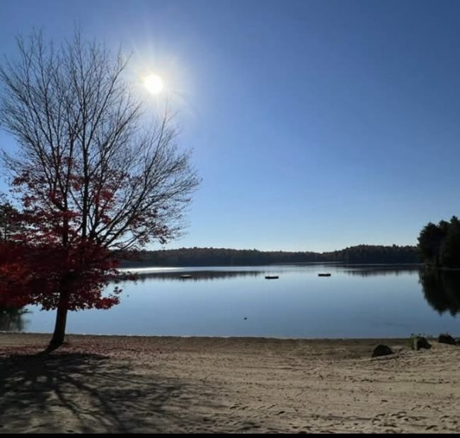 Bonnie Fall Views