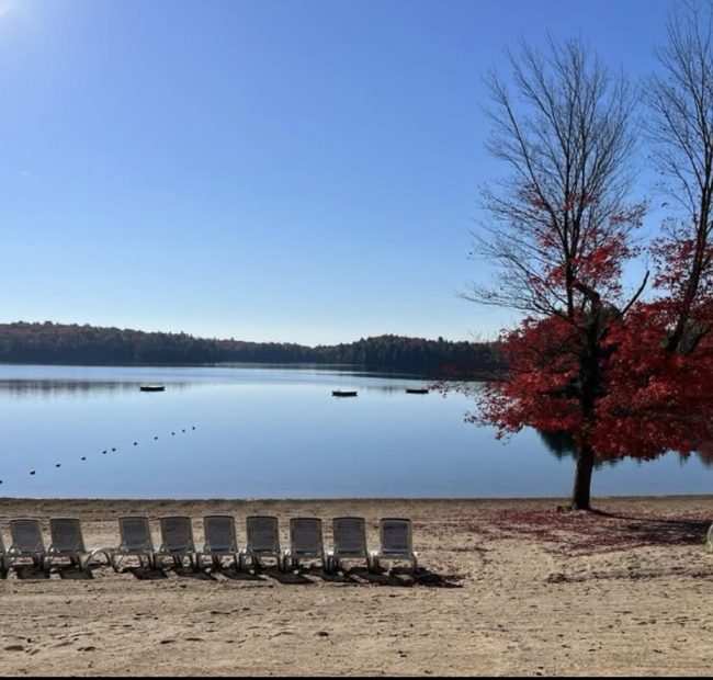 Bonnie Fall Views