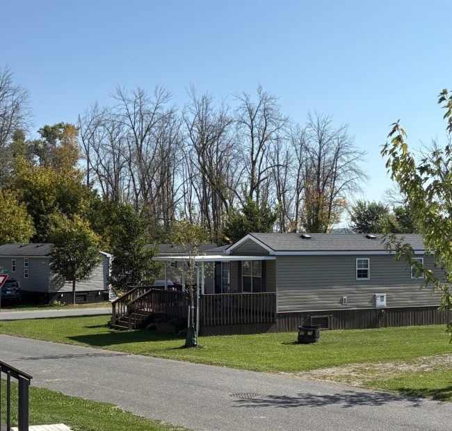 Bellmere Fall Views