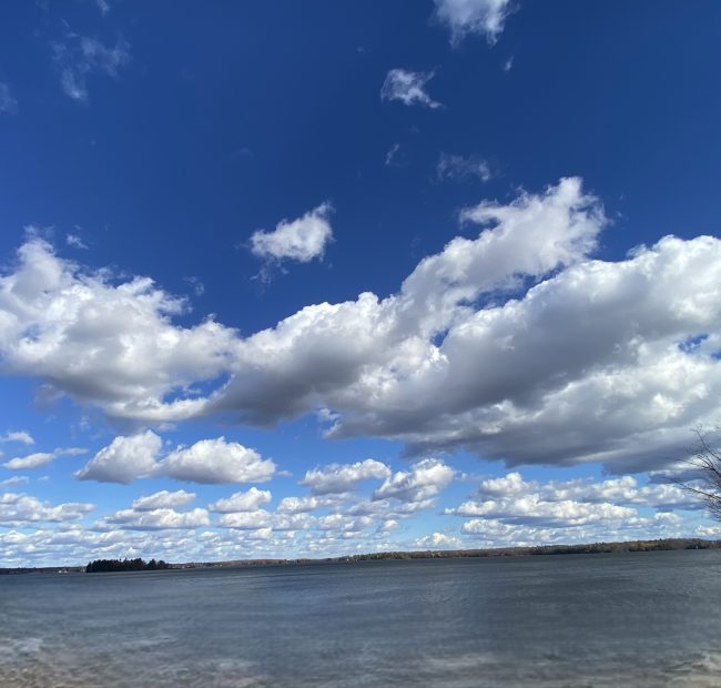 306 Lakefront Terrace Lane