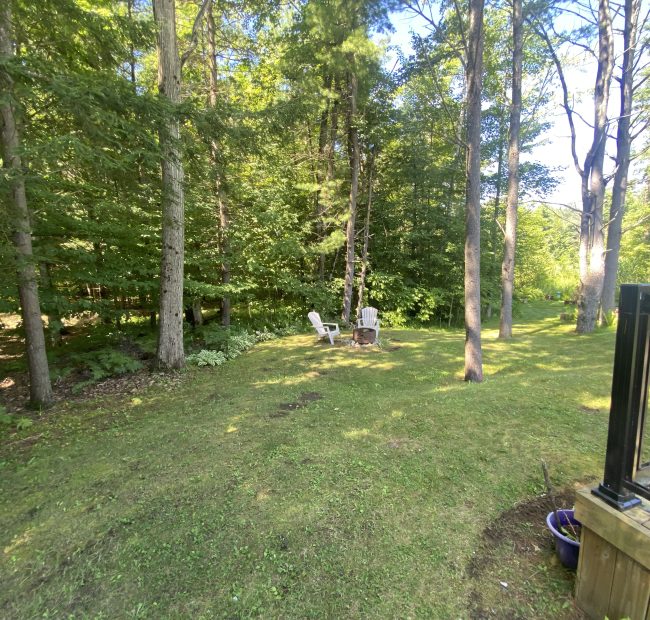 258 Shamrock Marina Road