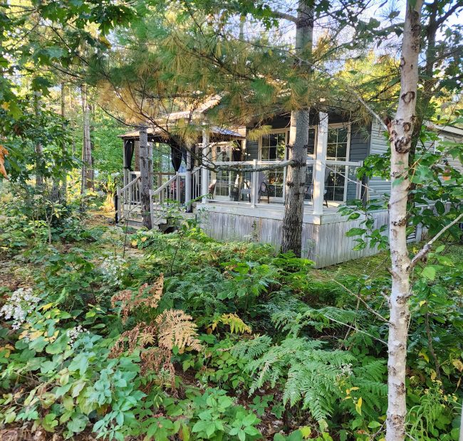 8 Maple Ridge